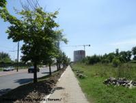 Imagine atasata: Vivalia Bulbuca - 2016.06.08- 01.jpg